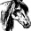 Picture of Veterinar 07